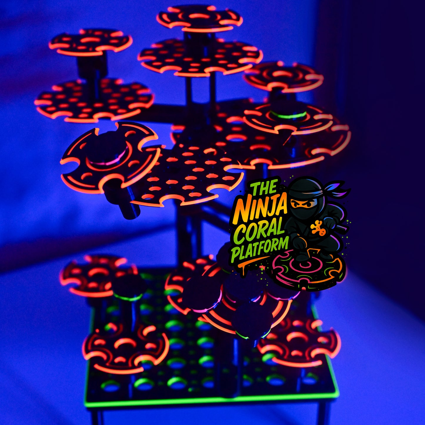The Ninja Coral Platform