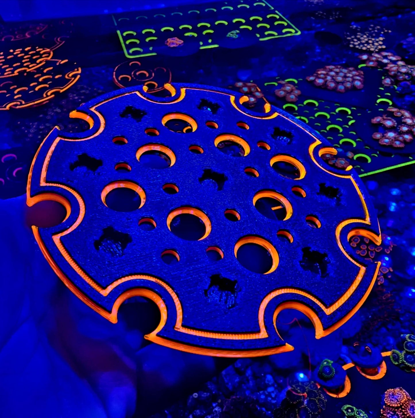 Ninja Pocket Platform