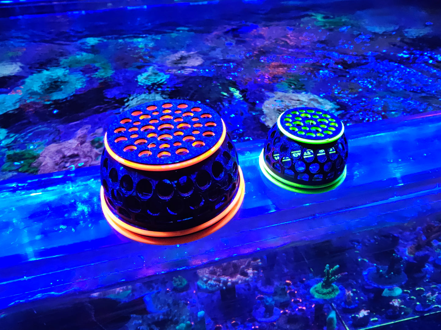 The Chum Ball (Magnetic Fish Feeder)