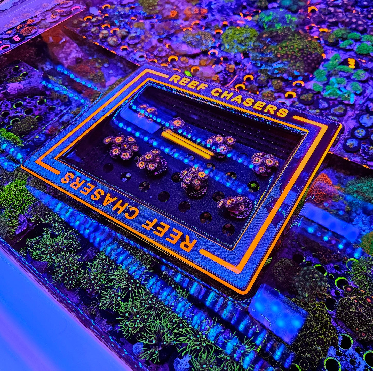 The Magic Floating Picture Box