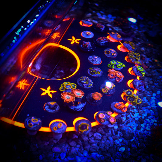 Dual Magnet XL Ninja Frag Rack