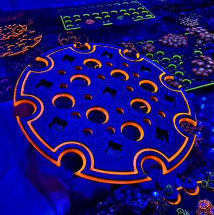 Ninja Pocket Platform