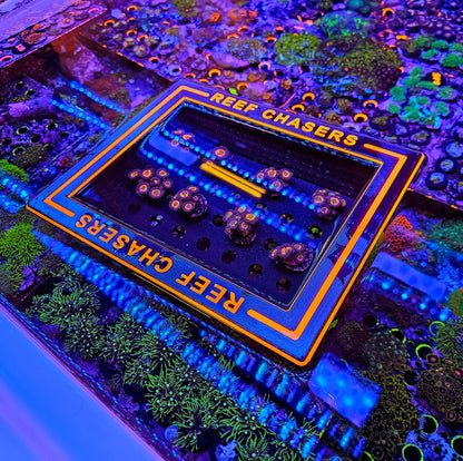 The Magic Floating Picture Box